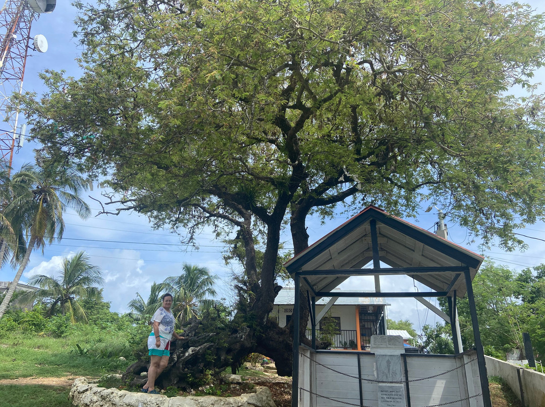 Primera Iglesia Bautista Hispana-圣安德烈斯必去景点