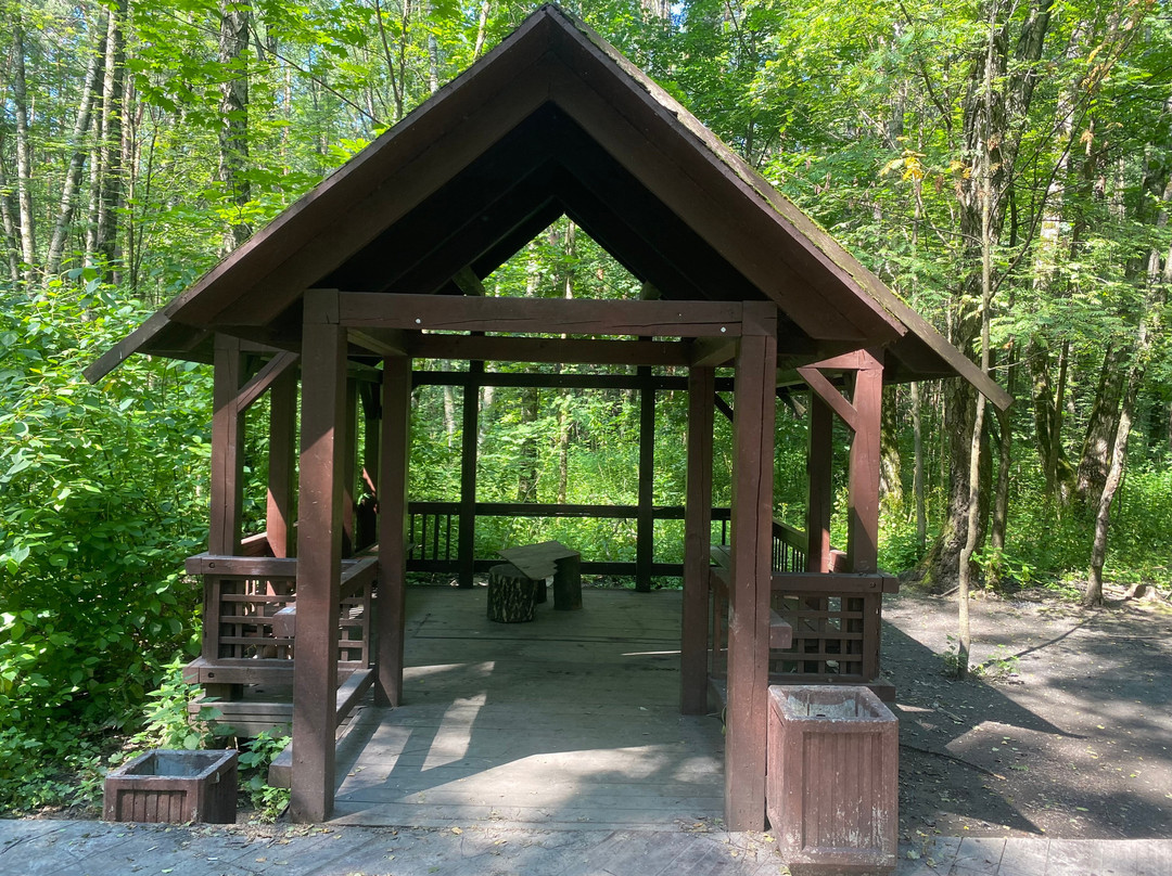 Troparevsky Forest Park景点图片