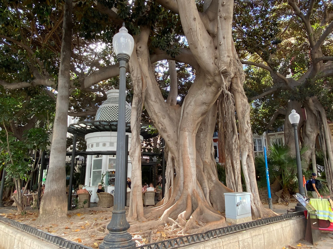 Rambla Méndez Núñez景点图片