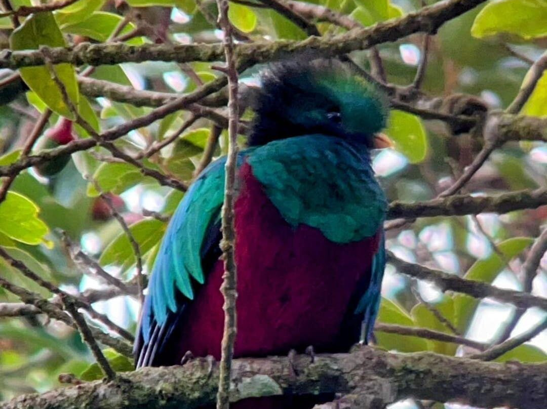 Monteverde Experts-Los Tornos必去景点