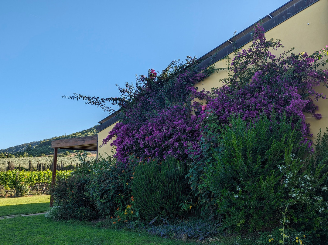 Wine Resort Leda' d'Ittiri主图