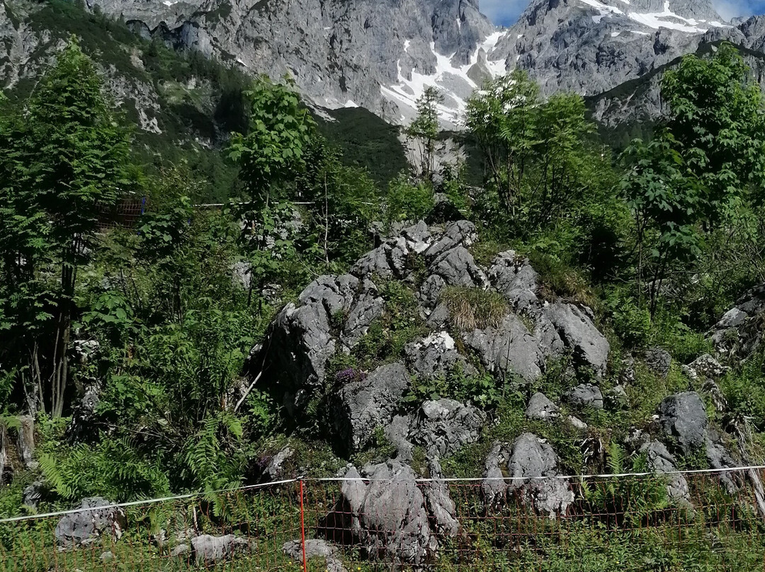 Hotel ...mein Neubergerhof主图