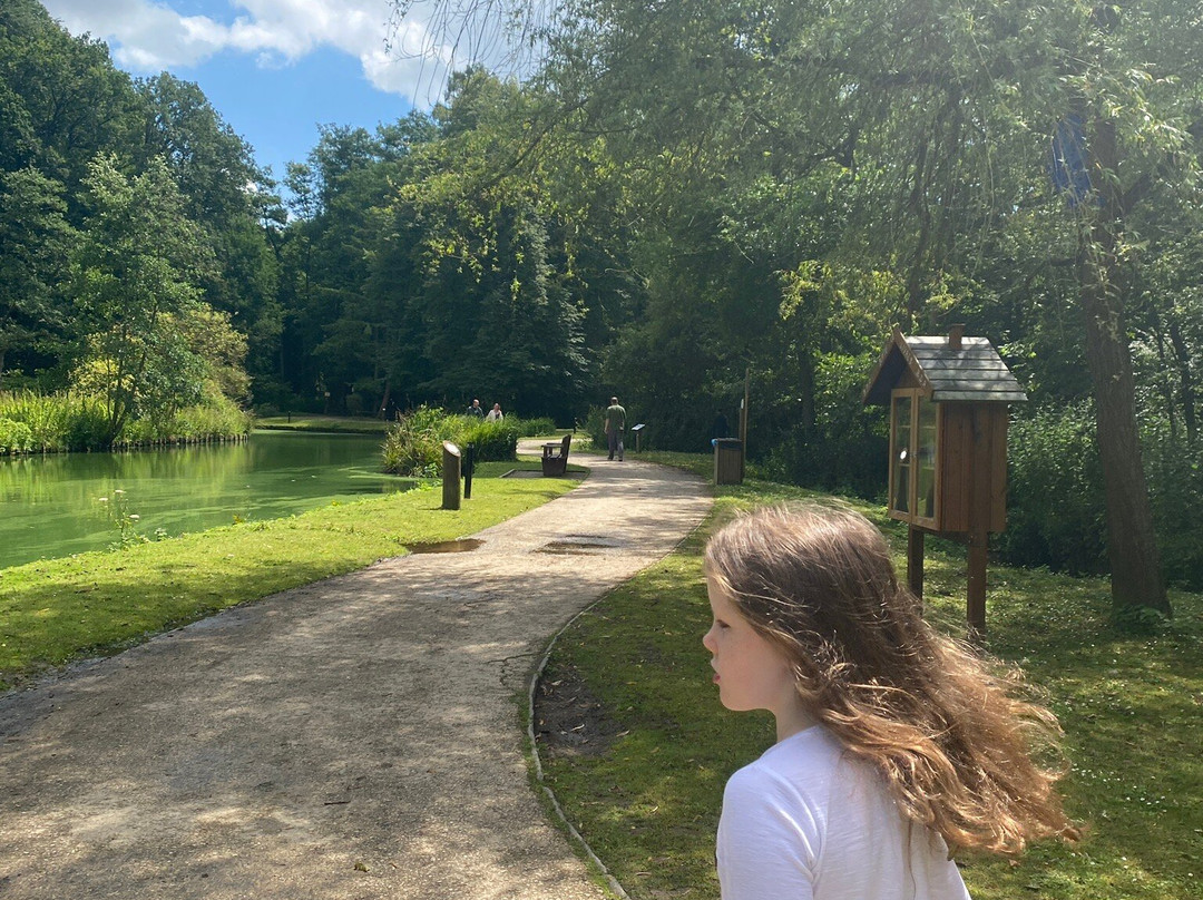 Bois des Rêves景点图片