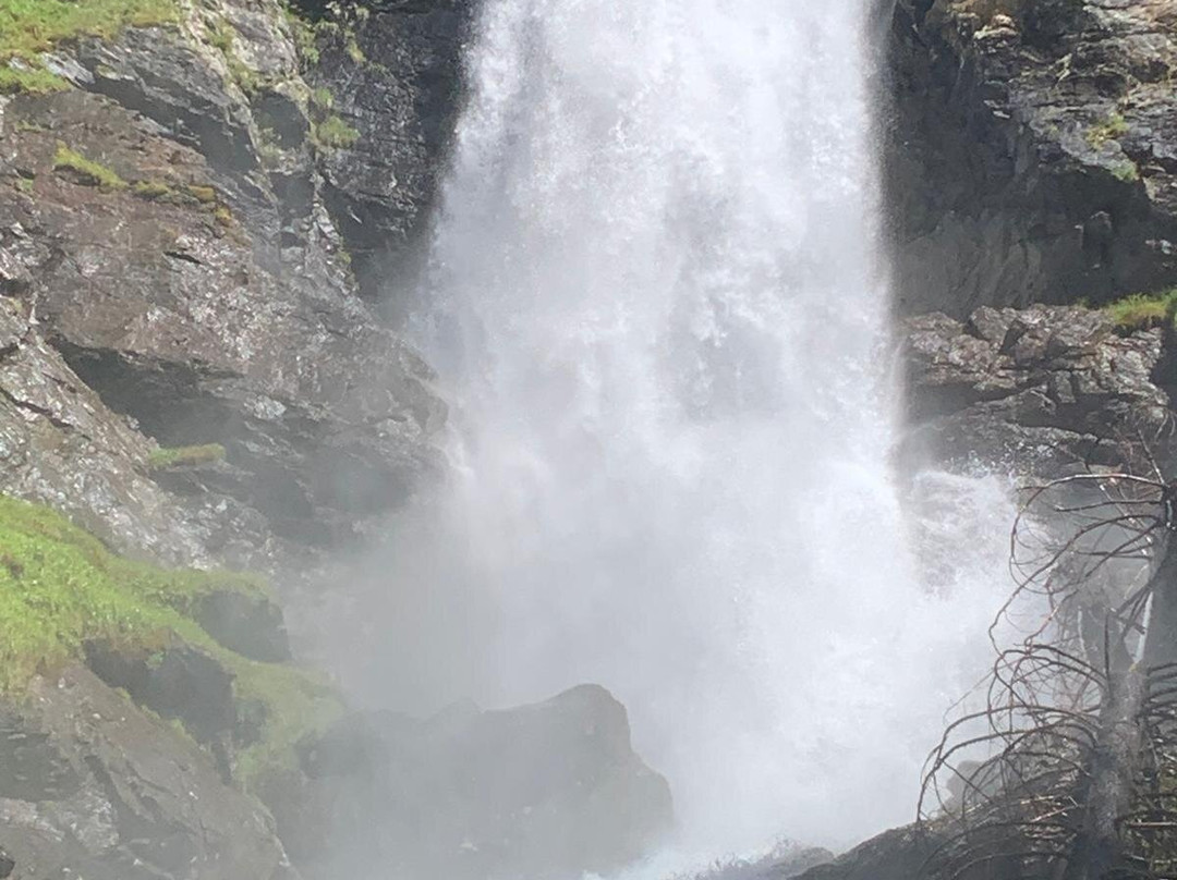 Experience Val di Sole景点图片
