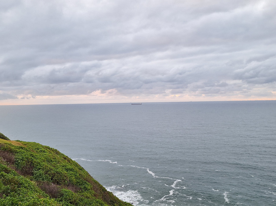 Strzelecki Scenic Lookout-纽卡斯尔必去景点
