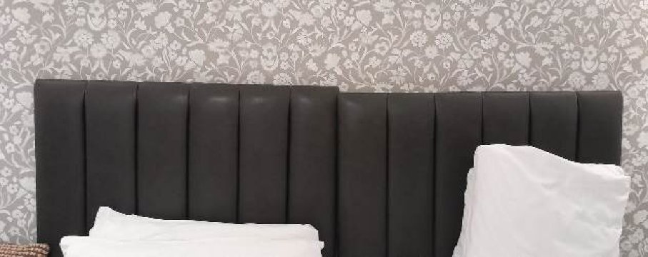 狗与熊酒店-客卧