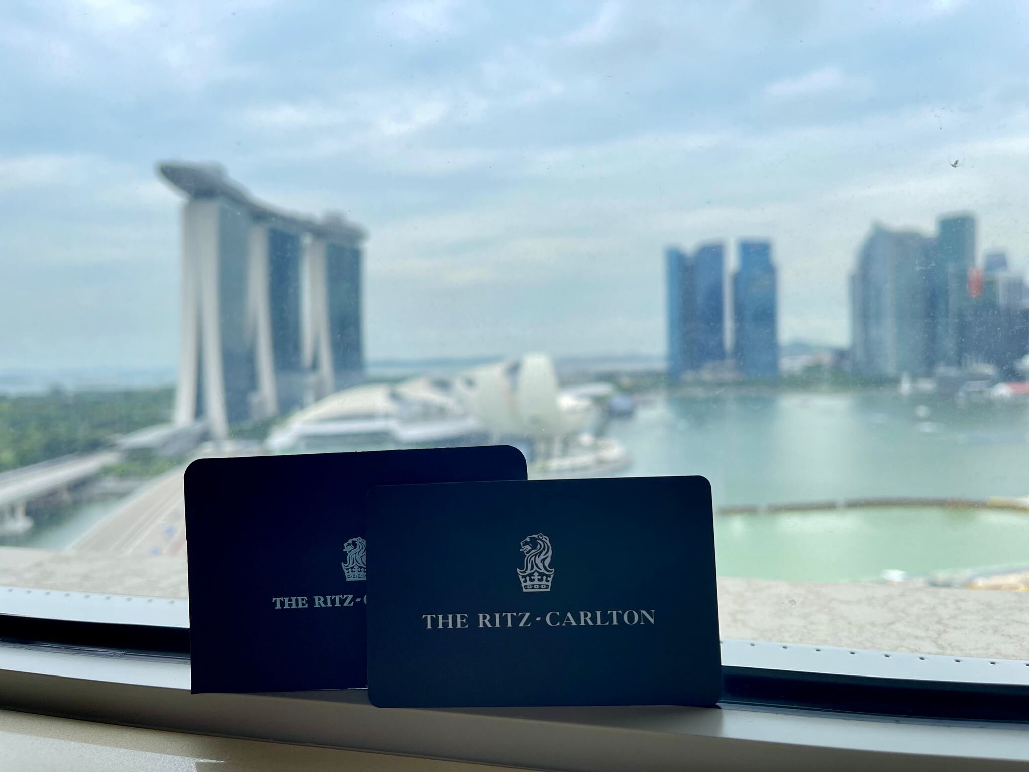新加坡美年丽思卡尔顿酒店-酒店景观