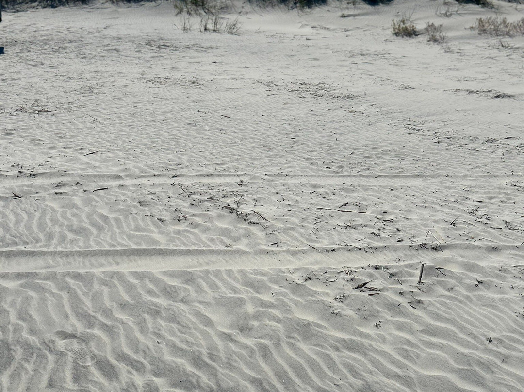 Great Dunes Beach Park-吉柯岛必去景点