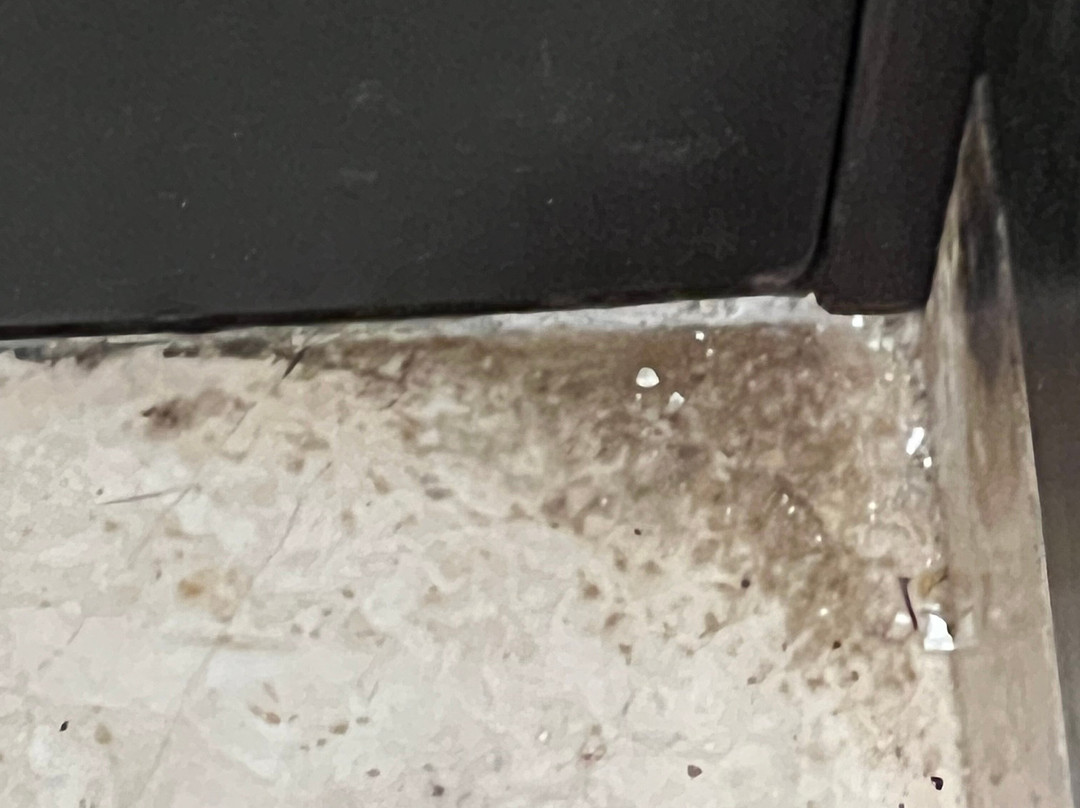 Grand Palladium Jamaica Resort & Spa主图