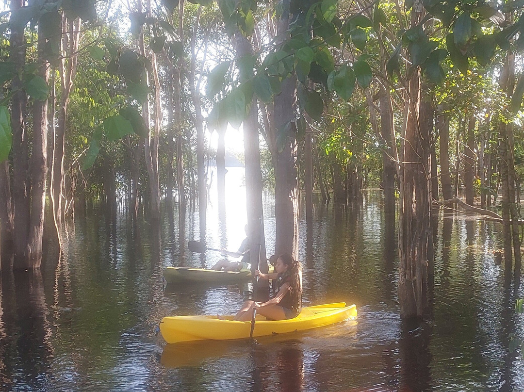 Bioma Ecolodge