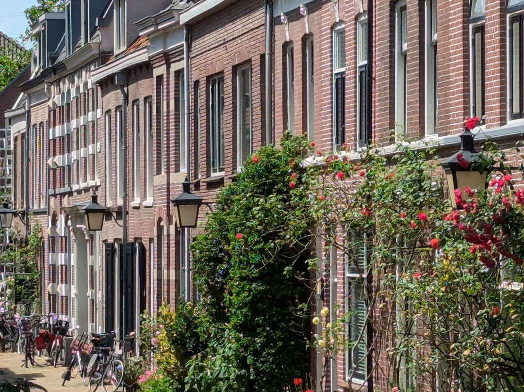 Nationaal Park Utrechtse Heuvelrug-Utrechtse Heuvelrug必去景点