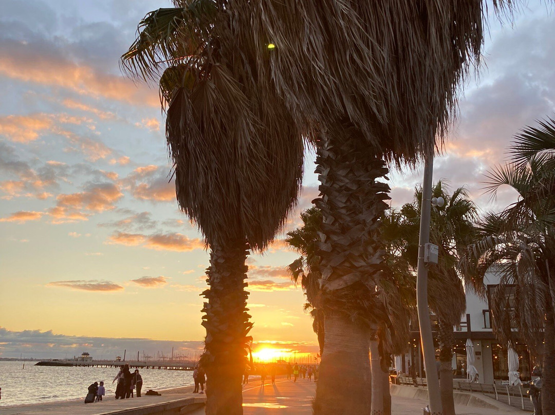 St Kilda Sea Baths景点图片
