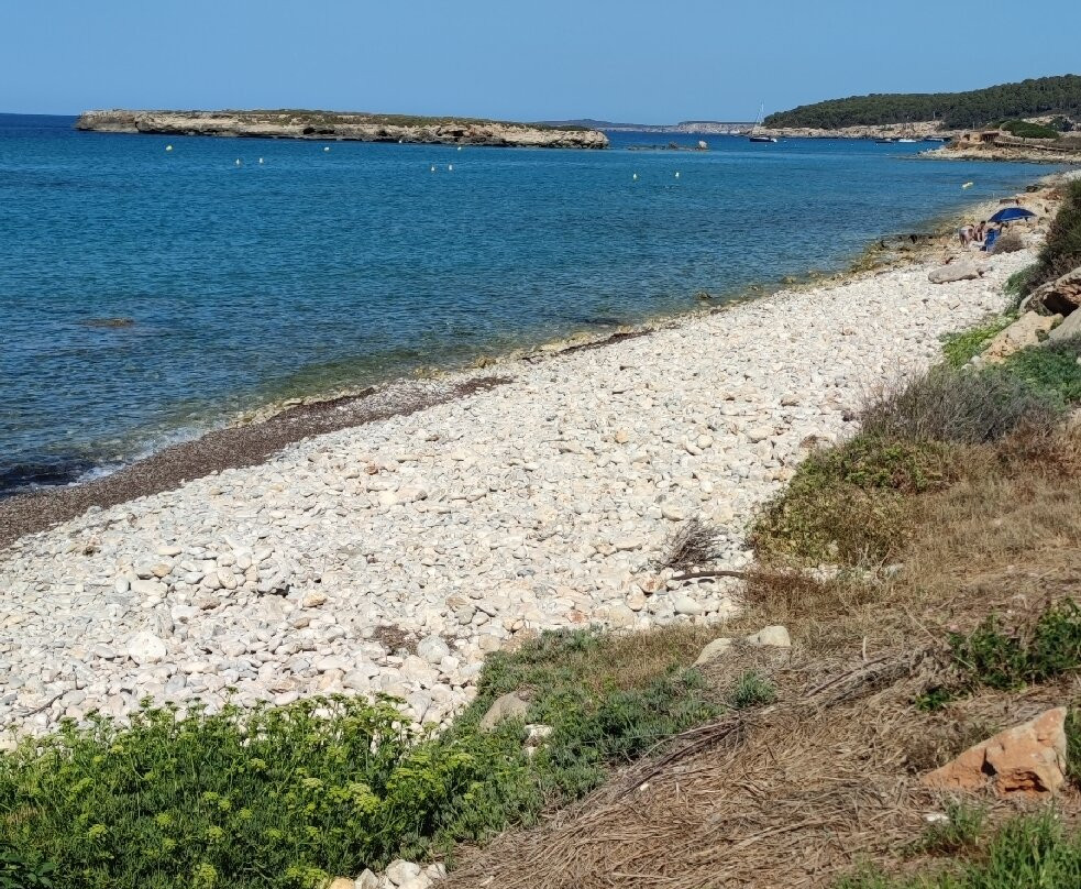 Platja de Sant Tomàs-米诺卡必去景点