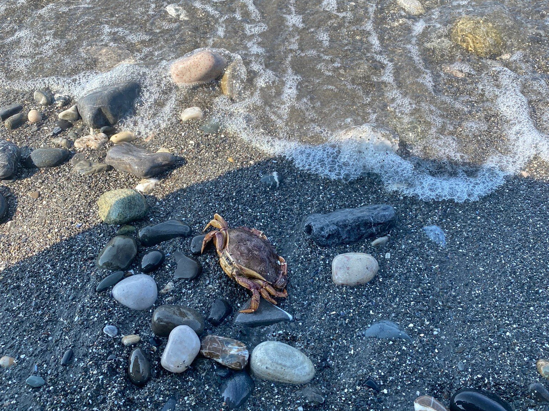 Marina De Matane-Matane必去景点