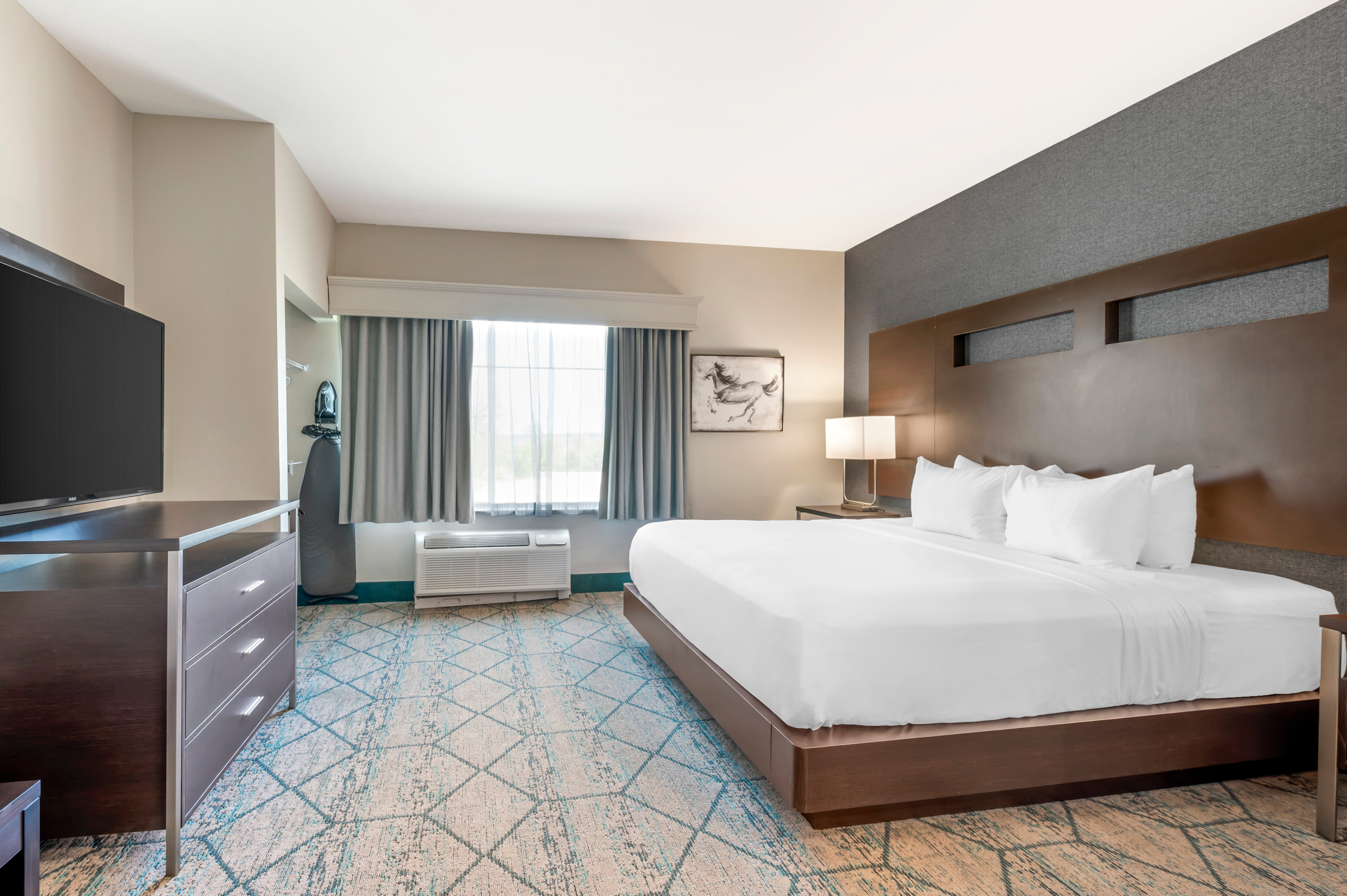 Best Western Plus Louisville North-客卧