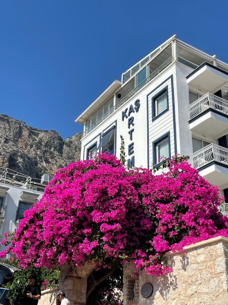 奥利奥酒店-官方