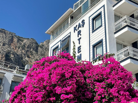 奥利奥酒店主图