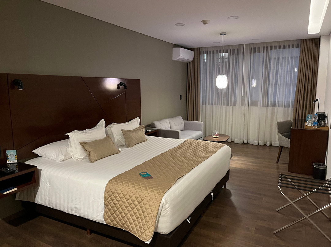 Hotel Mitru Sur主图