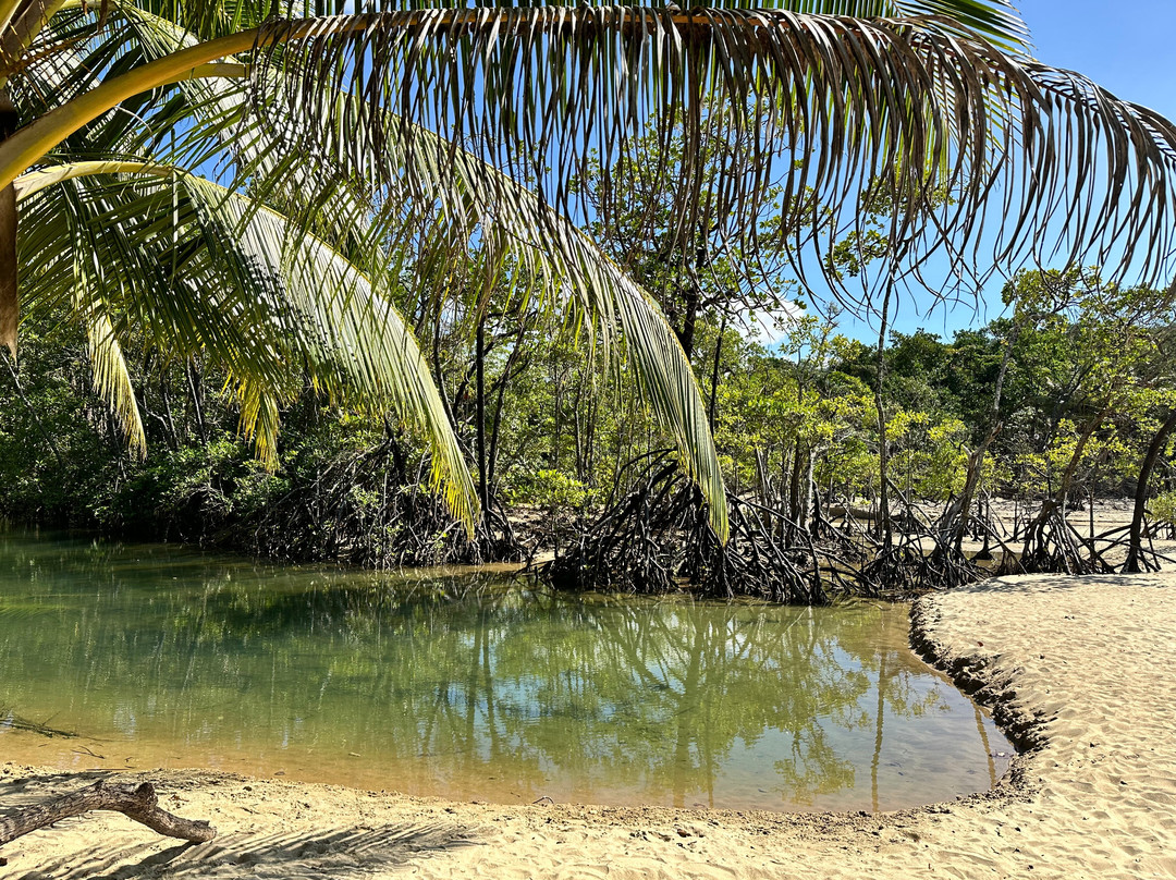 Tropic Wings Cairns Tours & Charters-凯恩斯必去景点