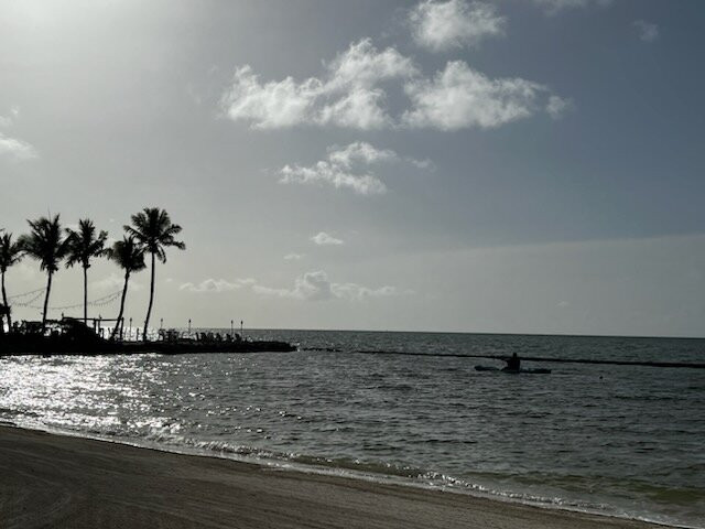 The Islands Of Islamorada主图