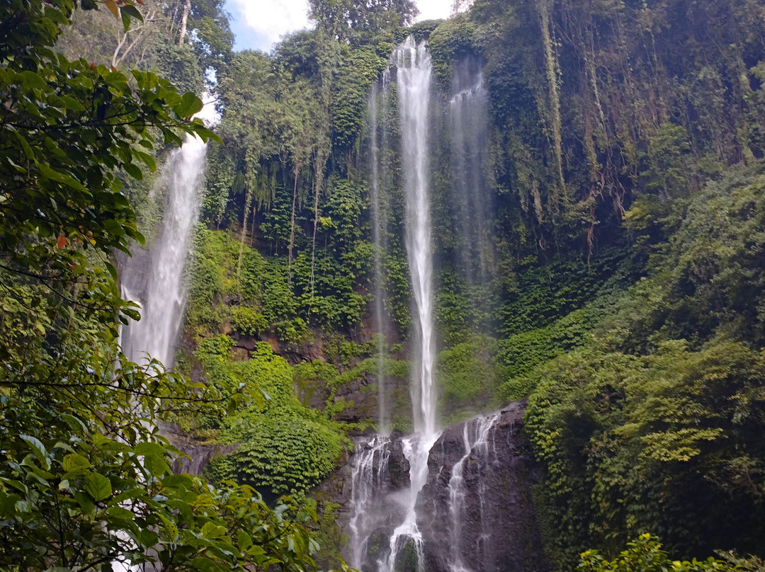 Sugi  Trekking Sekumpul景点图片