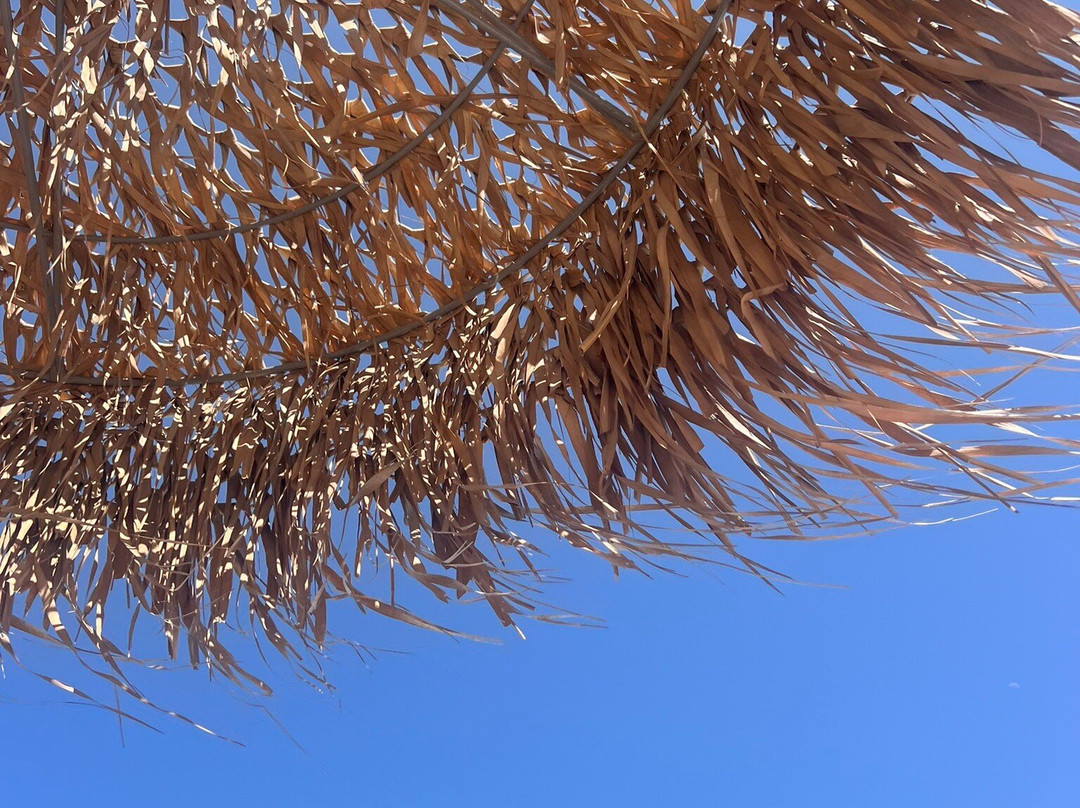 Mediterranean Hotel主图