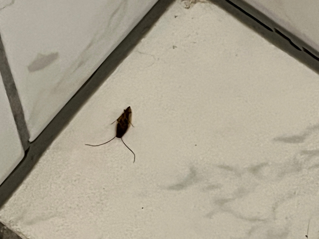 Hotel Restaurant Bieberstuben主图