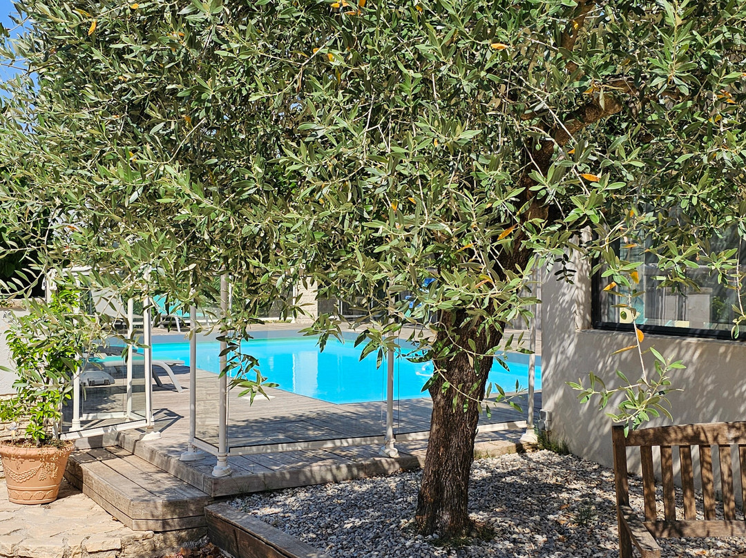 普罗旺斯翡翠酒店主图