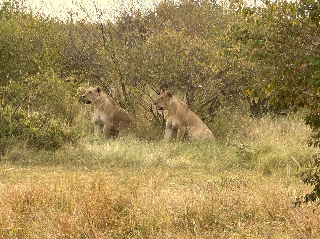 Pathway Safaris-马林地必去景点