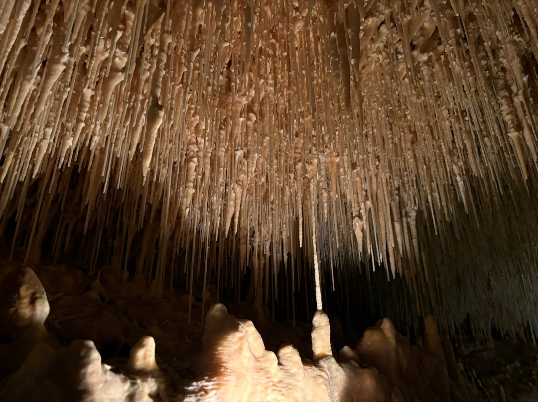 Grottes de Cougnac景点图片