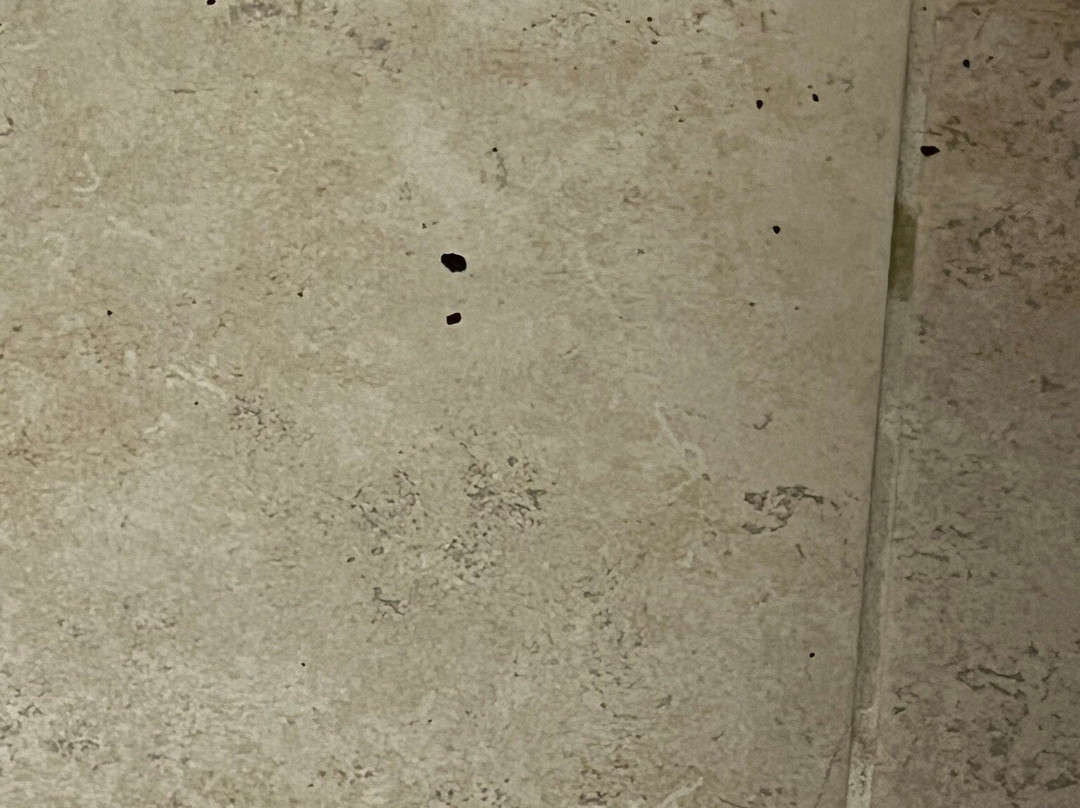 Holiday Hill Inn & Suites主图