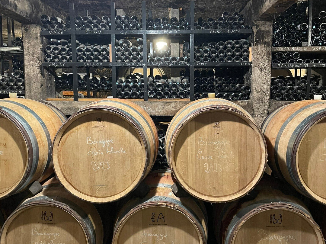 Domaine Armelle et Bernard Rion-Vosne-Romanee必去景点