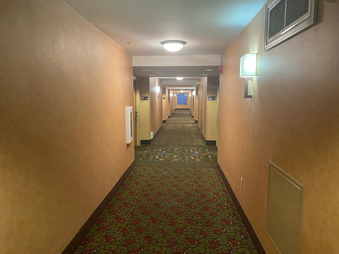 罗克斯普林斯希尔顿恒庭酒店主图