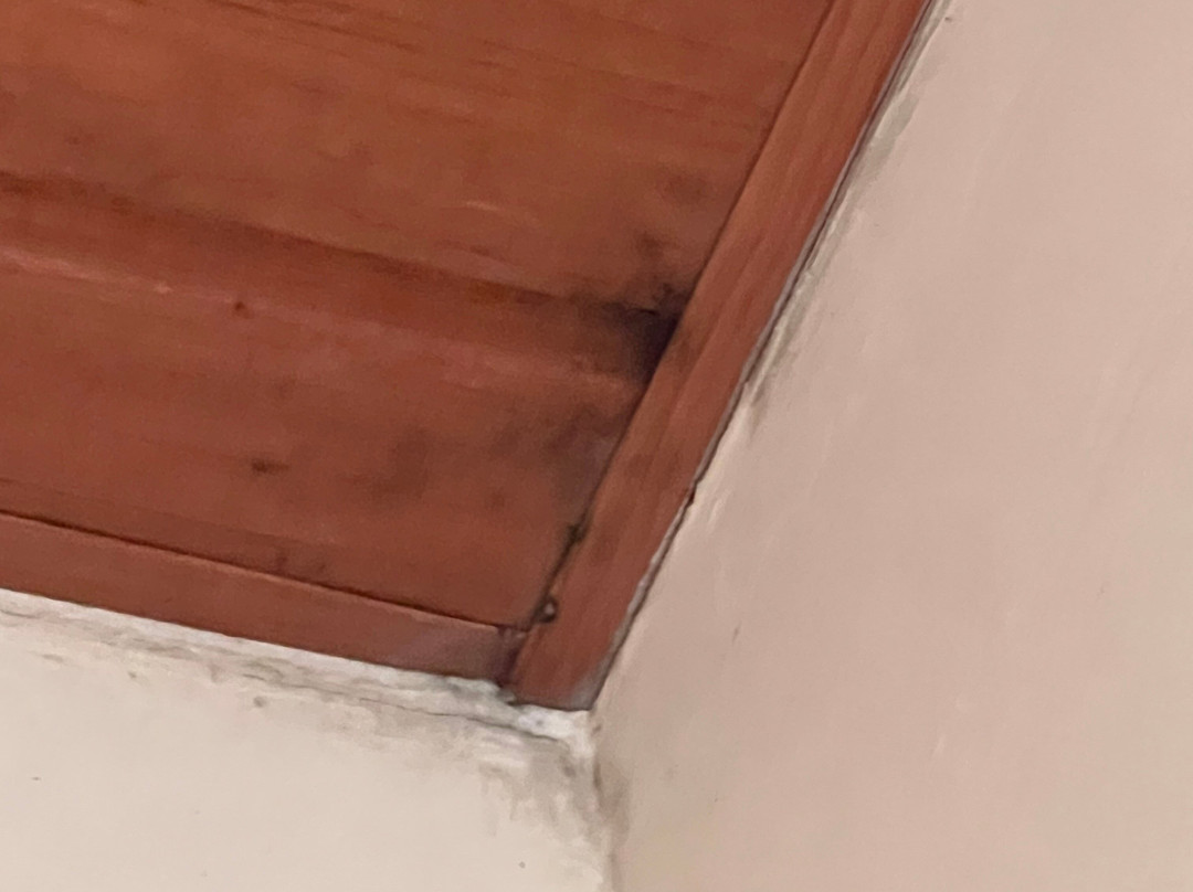 Hotel Costa Linda主图