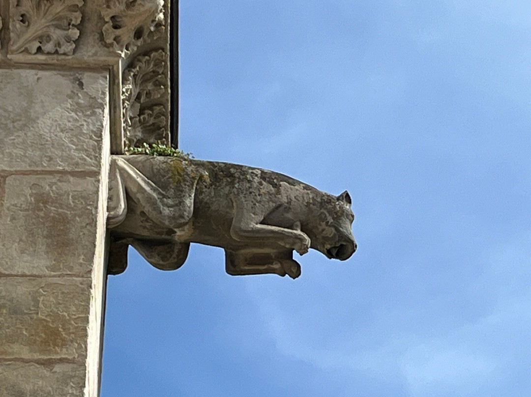 Cathedrale et cloitre Saint Etienne景点图片