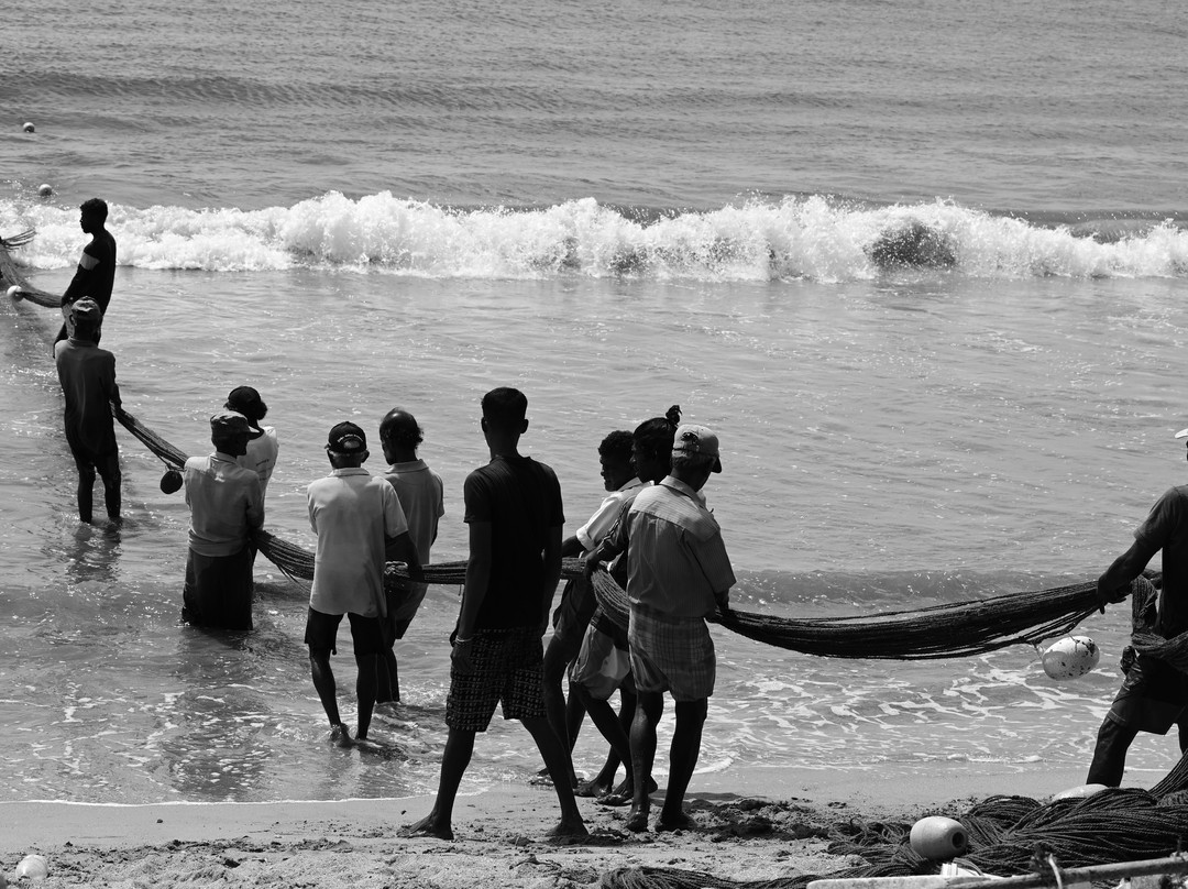 Explore Lanka Tours By Sahan-佩拉德尼亚必去景点