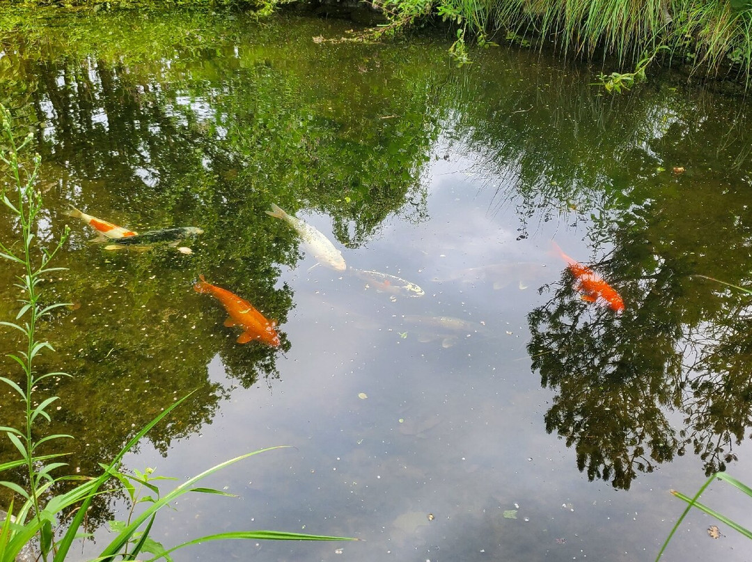 Les jardins aquatiques - Le Parc景点图片