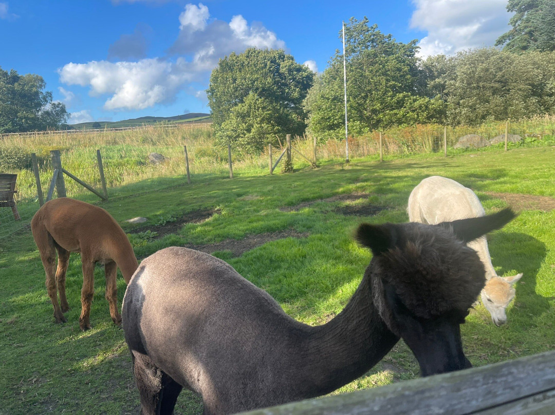 Llwyn Onn Guest House主图