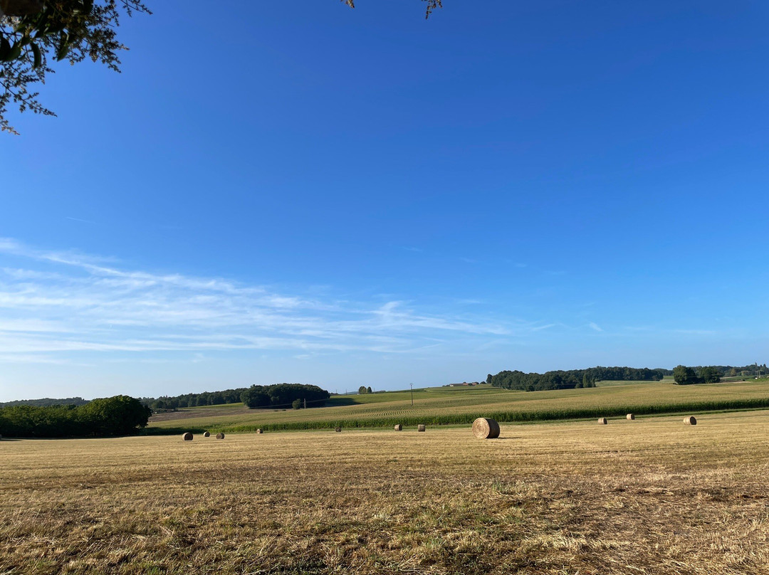 Chambres d'Hôtes Le Chemin主图