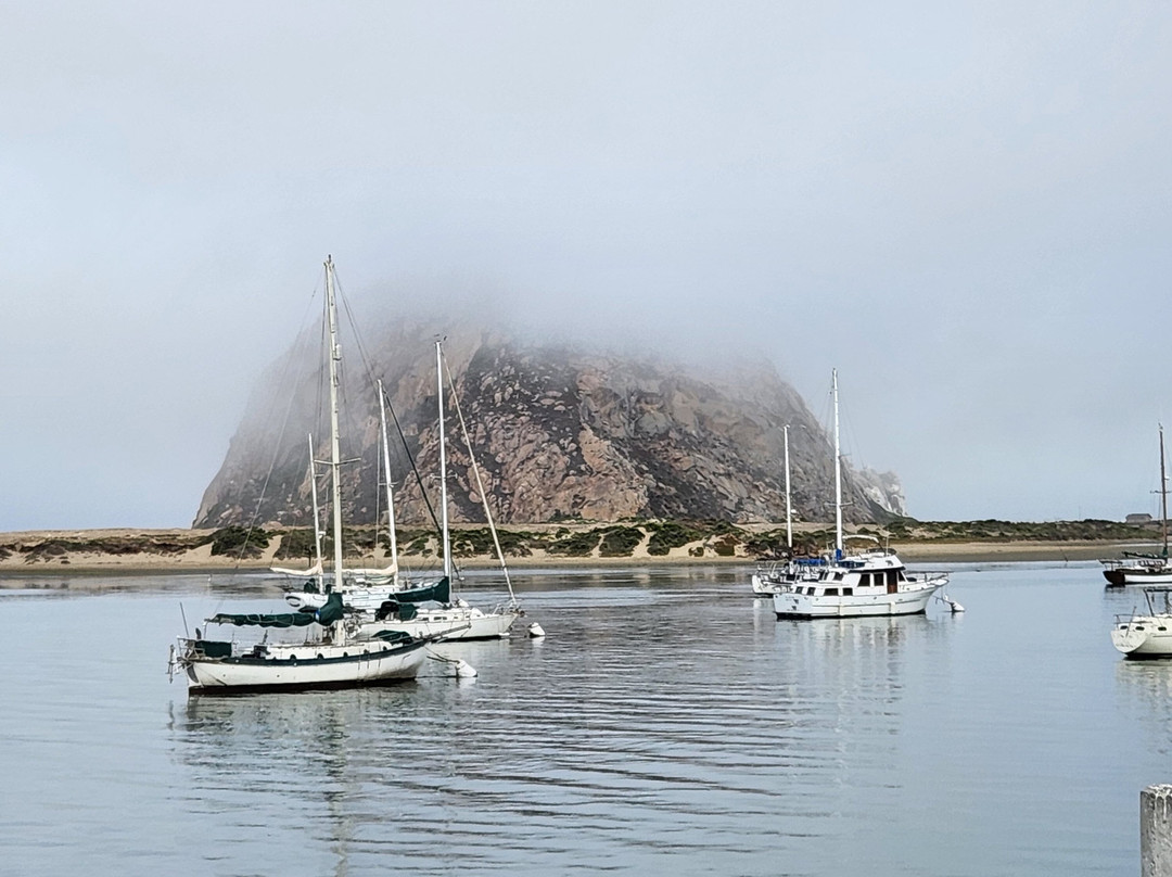 莫洛湾贸易风贝斯特韦斯特酒店主图