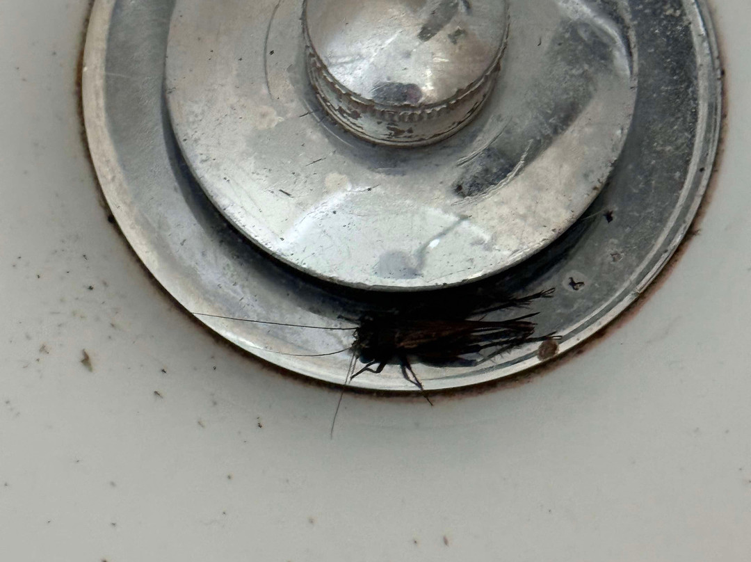 Best Western Plus Waterville Grand Hotel主图