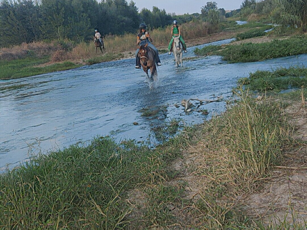 WILD WEST ABRUZZO-Mosciano Sant'Angelo必去景点
