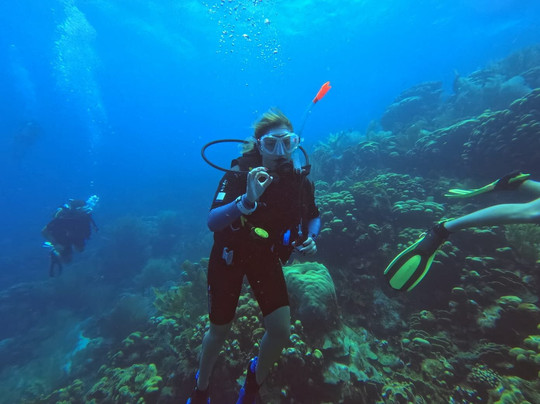 Soul Divers-威廉斯塔德必去景点