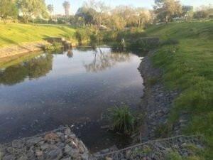 Jack Muller/ Danie Uys District Park, City Of Cape Town-Bellville必去景点