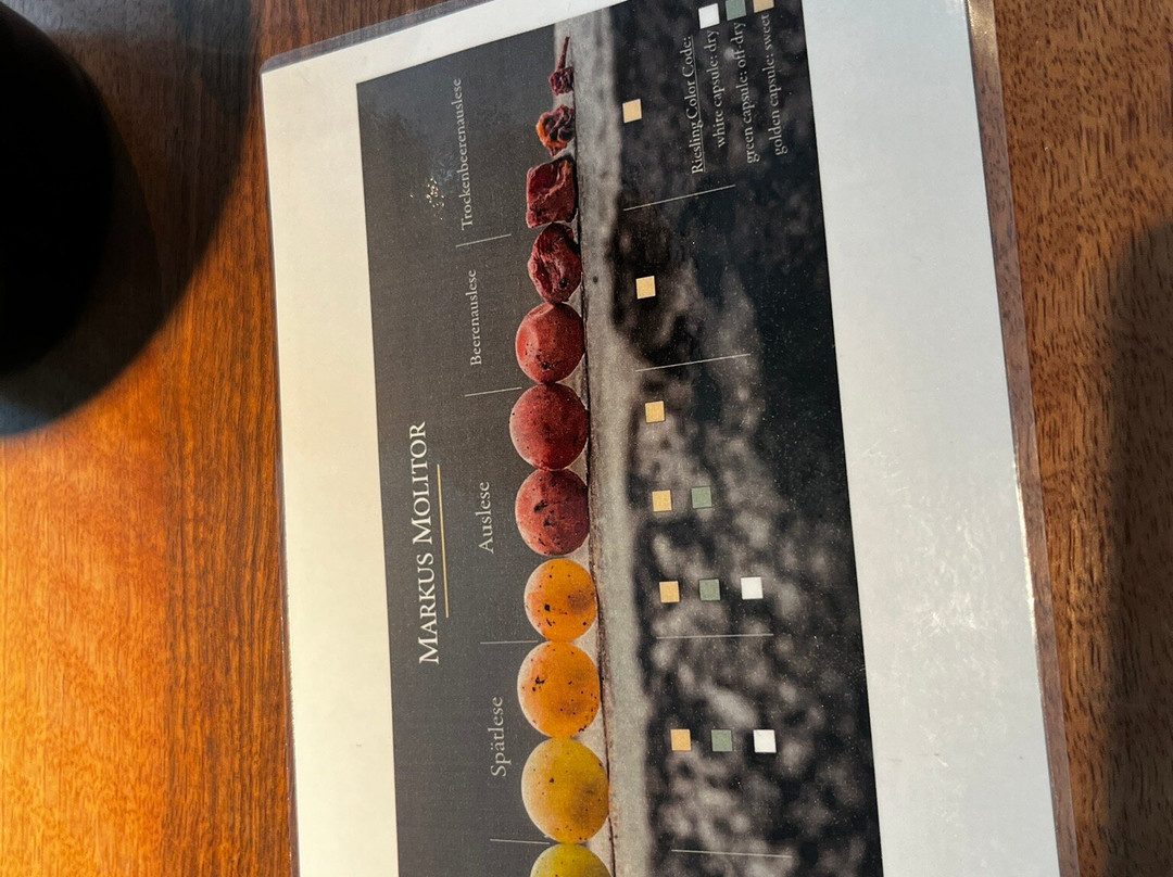 Weingut Markus Molitor景点图片