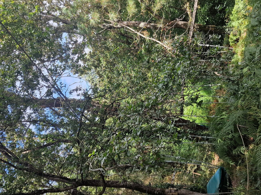 Pornic Aventure景点图片