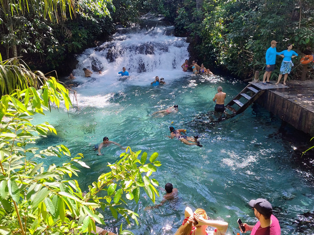 Feira da 304 Sul-Palmas必去景点