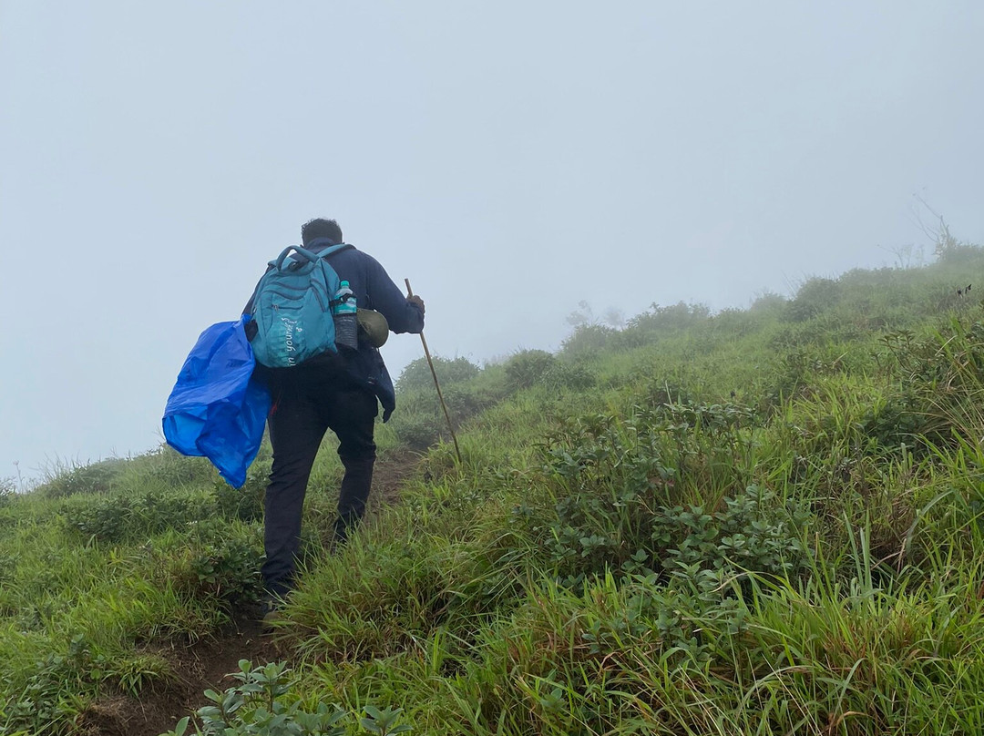 Munnar Info景点图片