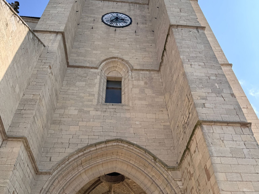Collégiale Notre-Dame de Dole-多勒必去景点