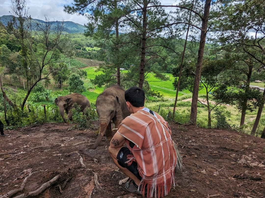Elephant Pride Sanctuary-清迈必去景点